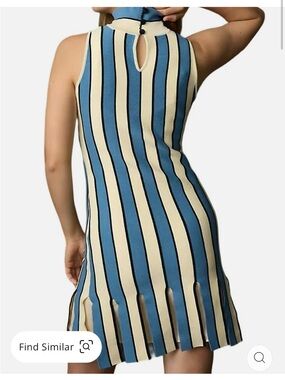 Eva Franco Anthropologie Mock-Neck Sleeveless Mini Dress